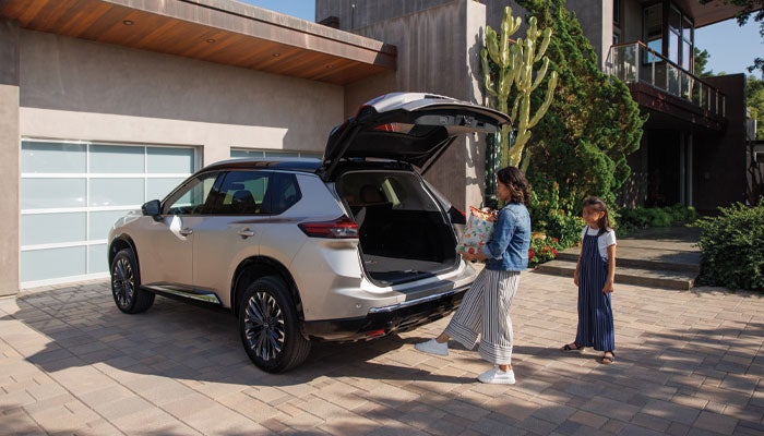 NissanDemo1 in Derwood MD