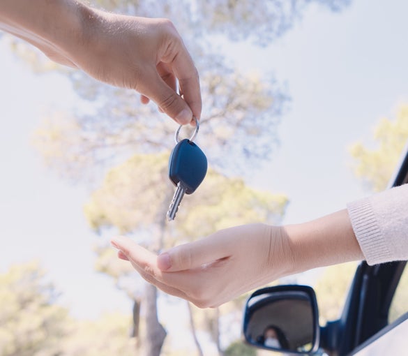 NissanDemo1 in Derwood MD